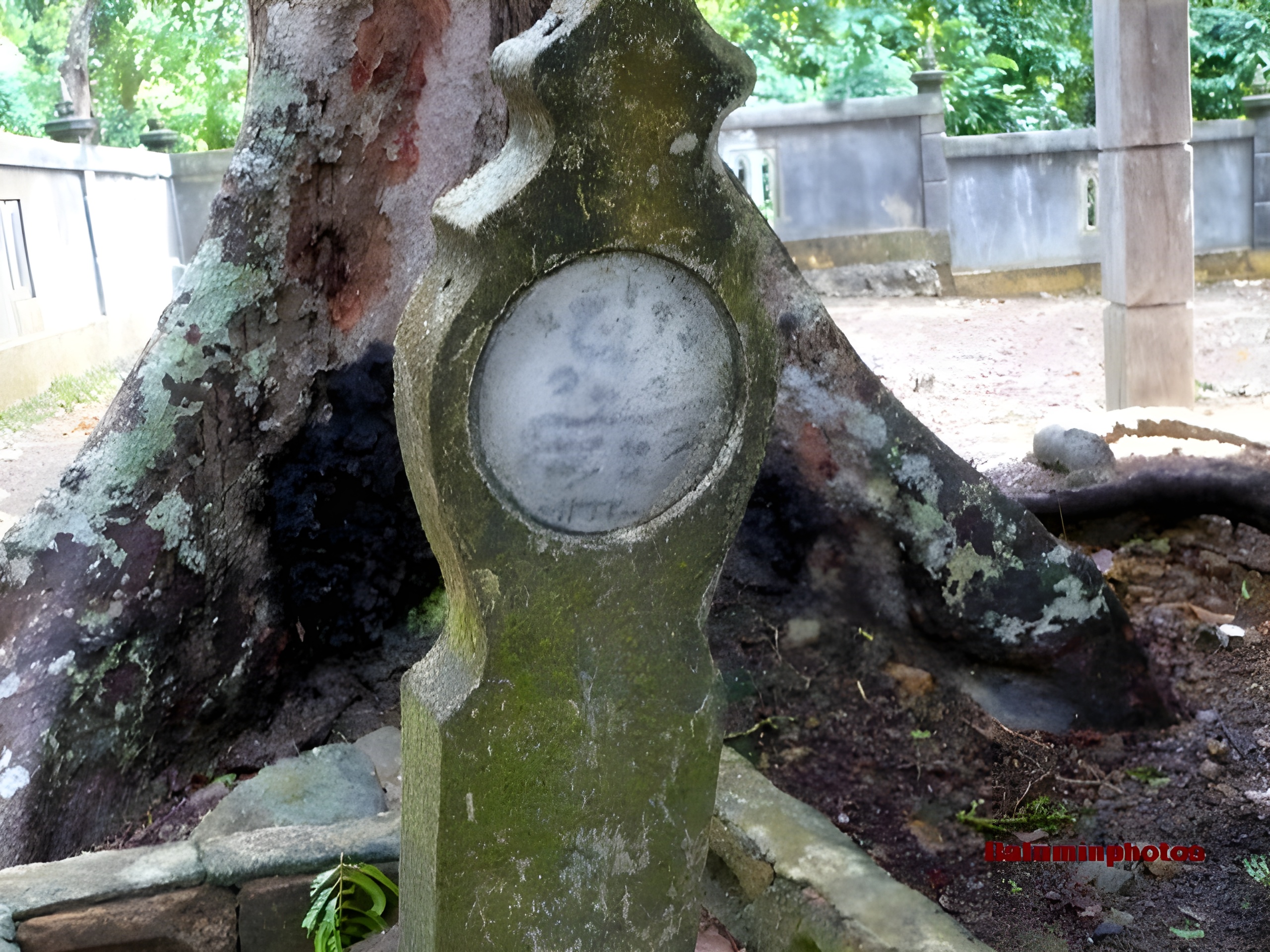 Place Image